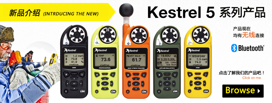 Kestrel.jpg
